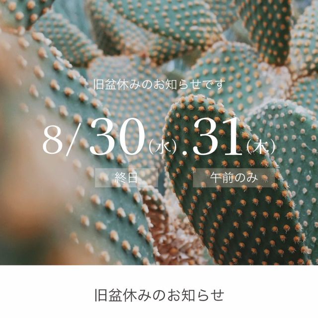 旧盆休みのお知らせです📢

8月30日（水）終日お休み
8月31日（木）午前のみお休み

ご不便をお掛けしますが、
どうぞよろしくお願いいたします。

#休業日のお知らせ
#旧盆
#旧盆休み
#ウンケー
#ウークイ
#アレックス#アレックス沖縄#おきりぞ#インテリア#インテリアデザイン#インテリアコーディネート#建築#建築デザイン#店舗デザイン#沖縄店舗設計#沖縄インテリア#interior#interiordesign#resortdesign